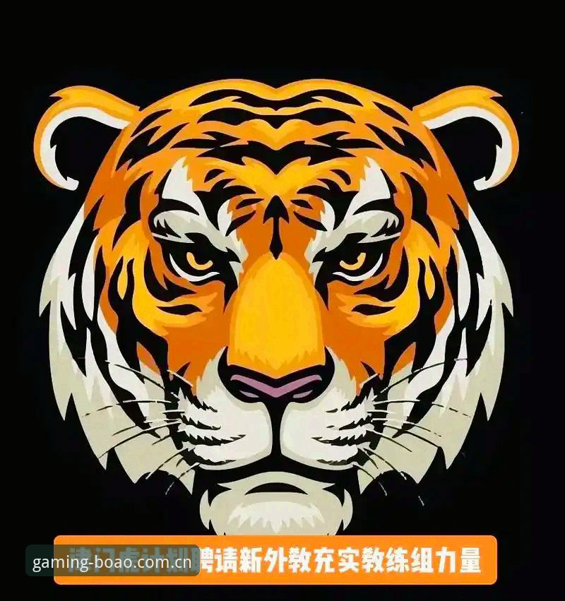 津门虎夏季引援观察教程：从注册规则看懂中超窗口期操作门道